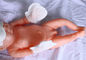 Не- сплетенные продуктов младенца тканей перчатки л размер руки младенца устранимых Невборн с поставщик